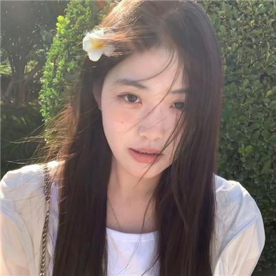 迷雾森林