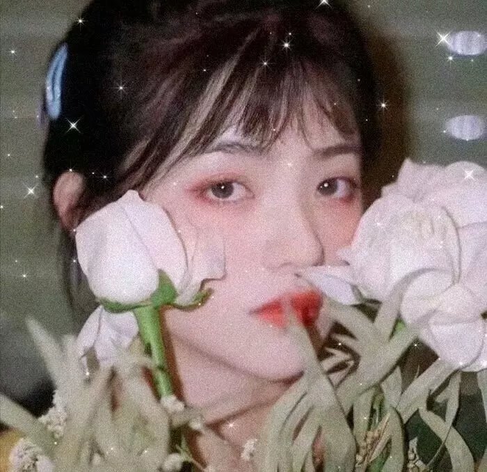 徐静蕾